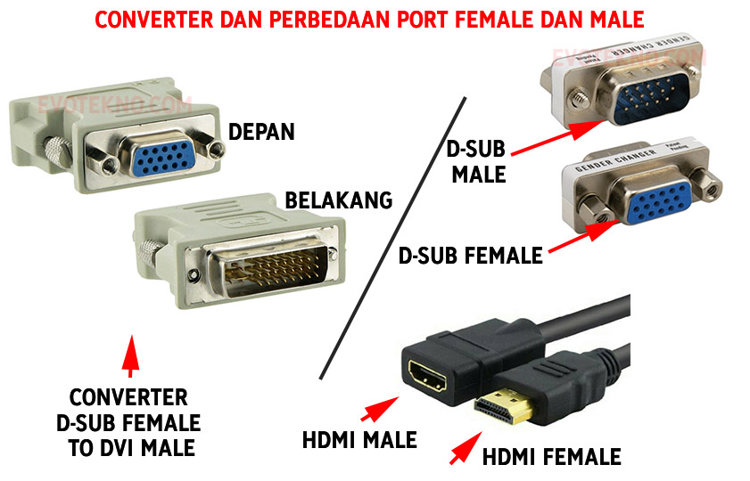 Converter port VGA - Perbedaan port male female