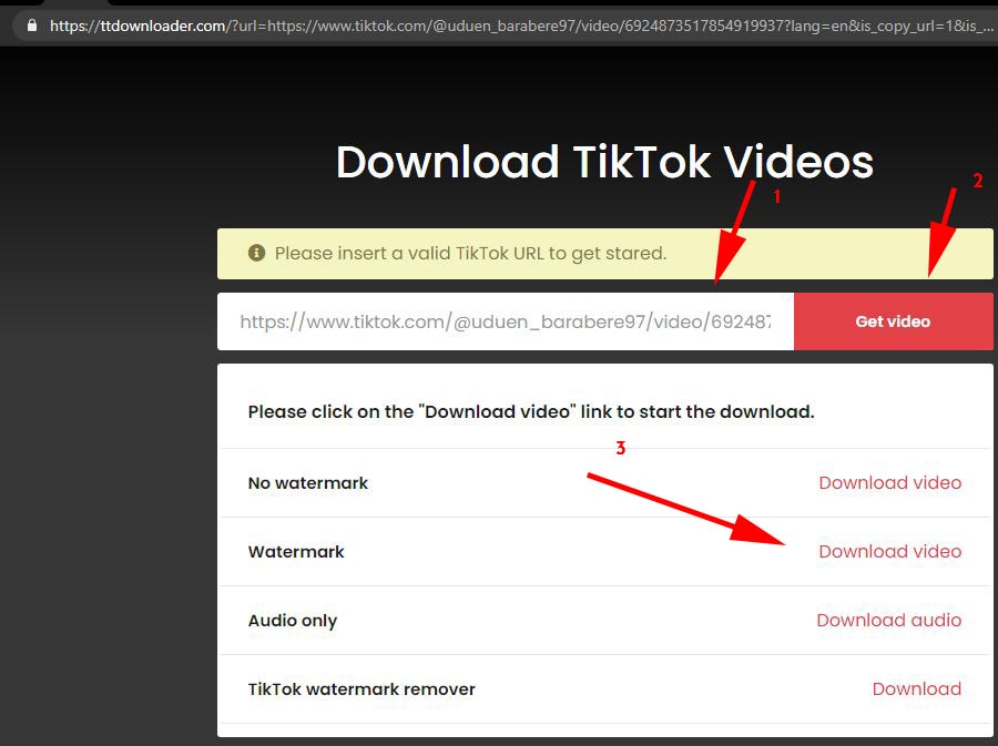 Downloader TikTok Video - Salin Link - Get Video - Watemark