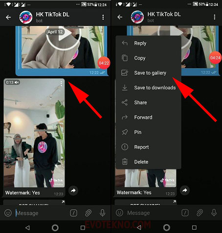 Download Video TIkTok di Telegram - Save To Gallery