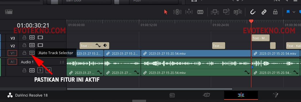 Aktifkan Auto Track Selector - Davinci Resolve